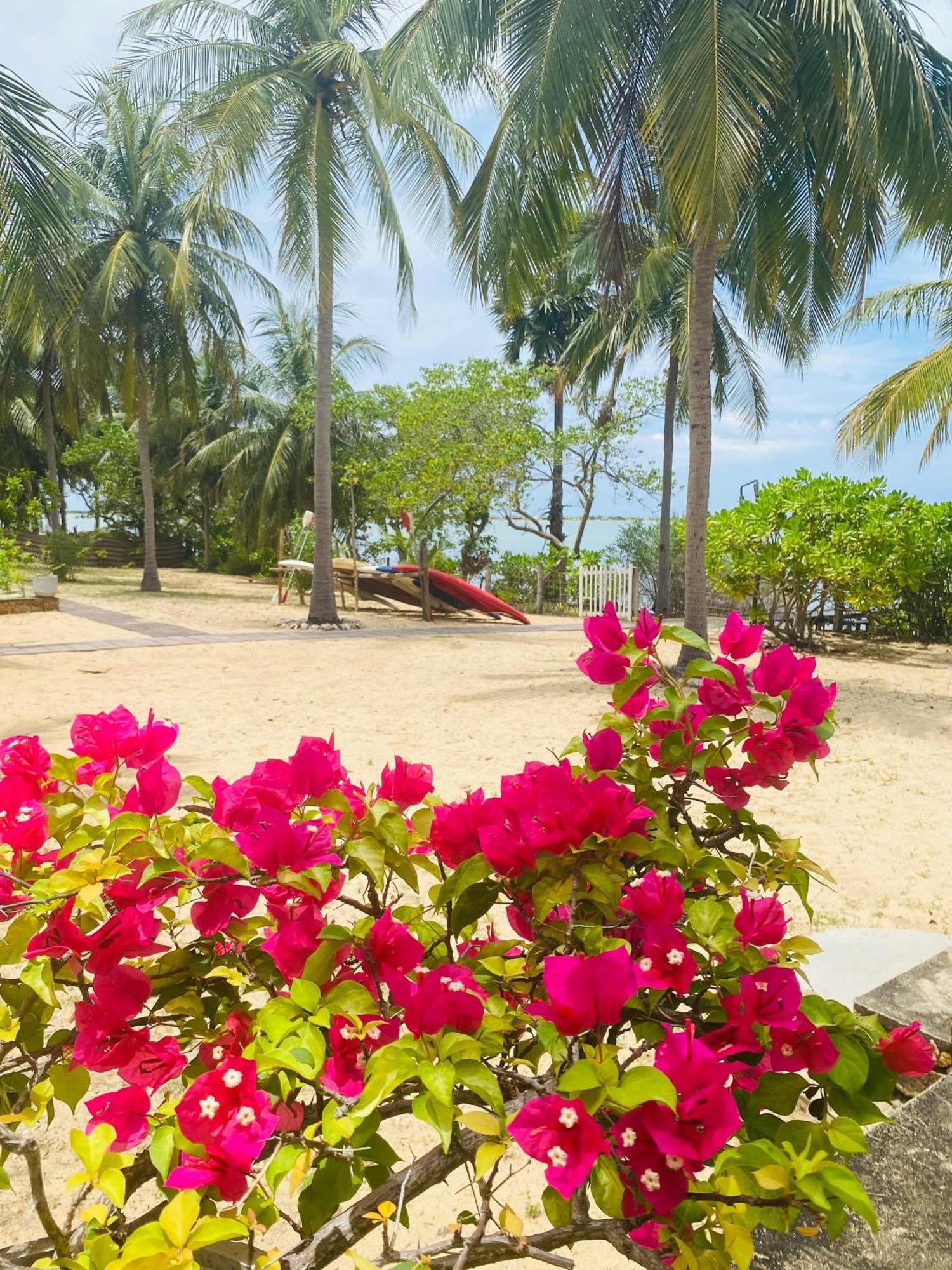 Villa Sethawadi Hotel And Kitesurf Centre Калпития Экстерьер фото